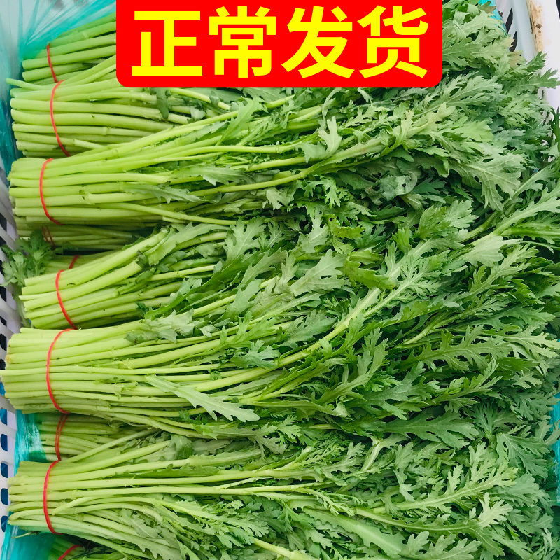 当季新鲜茼蒿（芦蒿）