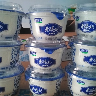 君乐宝经典老酸奶风味酸奶牛奶益生菌酸奶139克*12碗