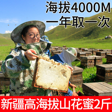2斤新疆伊犁高海拔黑蜂蜂蜜纯正天然正宗农家野生土蜂蜜PK
