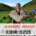 2斤新疆伊犁高海拔黑蜂蜂蜜纯正天然正宗农家野生土蜂蜜PK