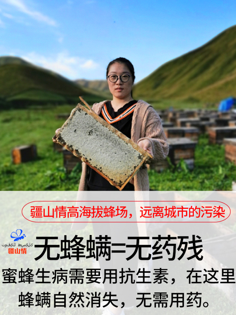 2斤新疆伊犁高海拔黑蜂蜂蜜纯正天然正宗农家野生土蜂蜜PK