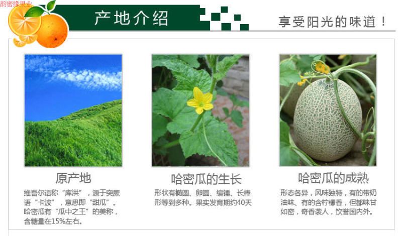 19年新货新疆特产正宗哈密哈密瓜干