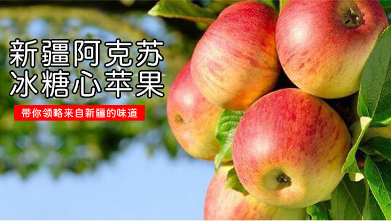 新疆阿克苏冰糖心红富士苹果批发新鲜生鲜水果
