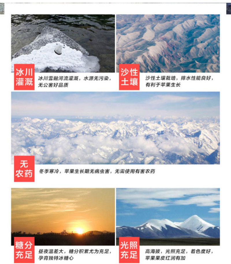 新疆阿克苏冰糖心红富士苹果批发新鲜生鲜水果