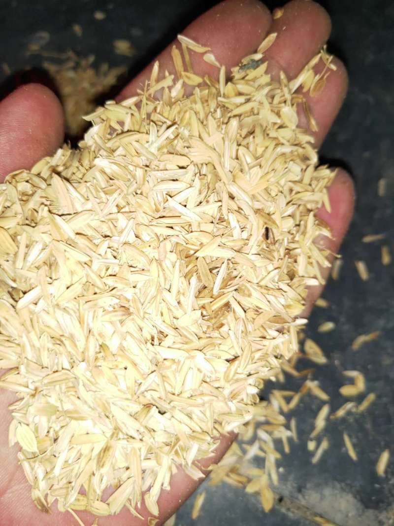 稻壳稻壳粉视频看货产地直销欢迎实地考察