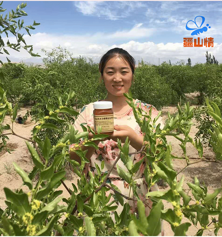 500g新疆黑蜂蜜便携挤压瓶枣花蜜纯正天然原蜜可泡百