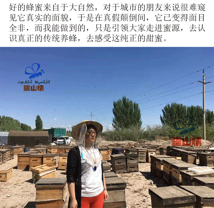 500g新疆黑蜂蜜便携挤压瓶枣花蜜纯正天然原蜜可泡百