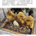 500g新疆黑蜂蜜便携挤压瓶枣花蜜纯正天然原蜜可泡百