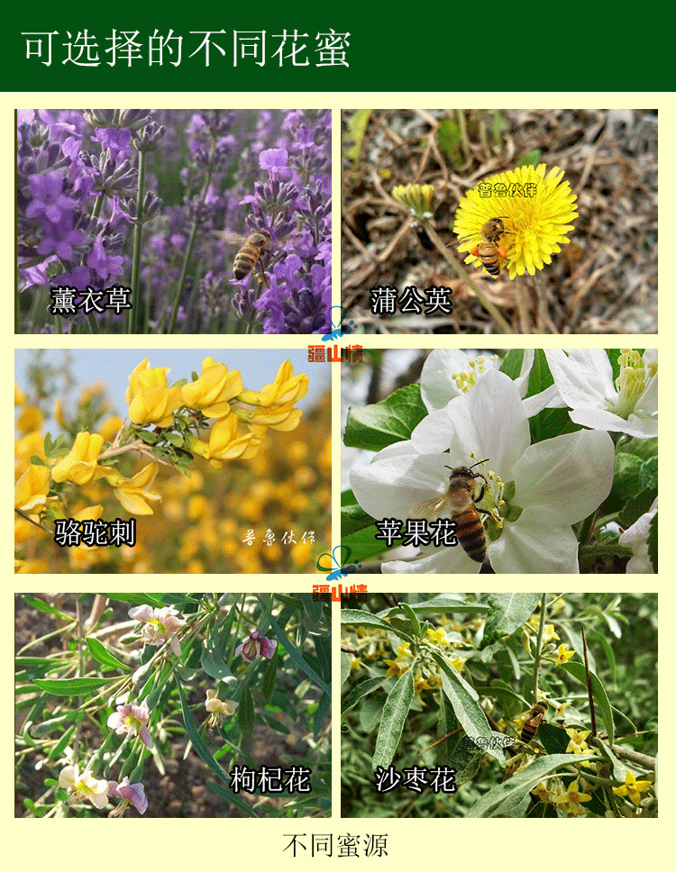 500g新疆黑蜂蜜便携挤压瓶枣花蜜纯正天然原蜜可泡百