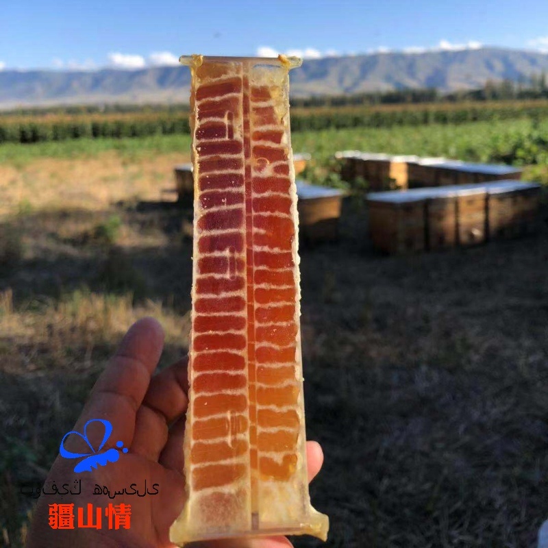 一斤老蜂巢蜜新疆黑蜂蜜纯正天然可以嚼着吃的蜂蜜500g盒