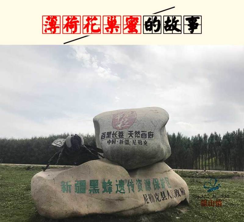 一斤老蜂巢蜜新疆黑蜂蜜纯正天然可以嚼着吃的蜂蜜500g盒