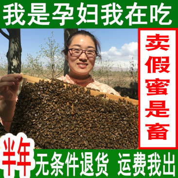 2斤苹果蜜正宗新疆野生百花蜂蜜纯正天然农家结晶成熟土蜂蜜