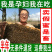 2斤苹果蜜正宗新疆野生百花蜂蜜纯正天然农家结晶成熟土蜂蜜