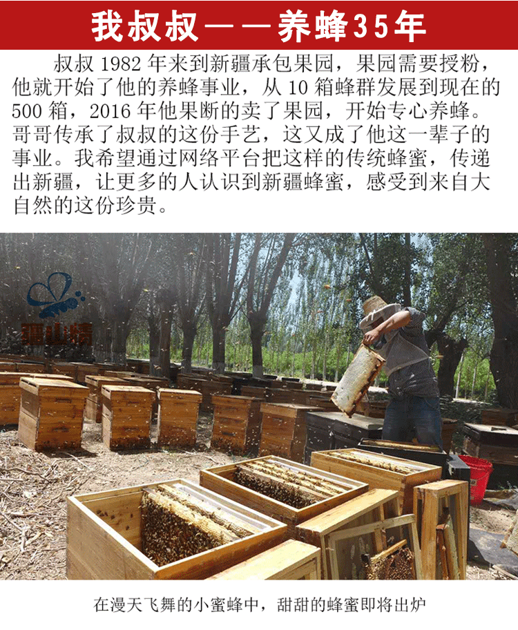 2斤苹果蜜正宗新疆野生百花蜂蜜纯正天然农家结晶成熟土蜂蜜