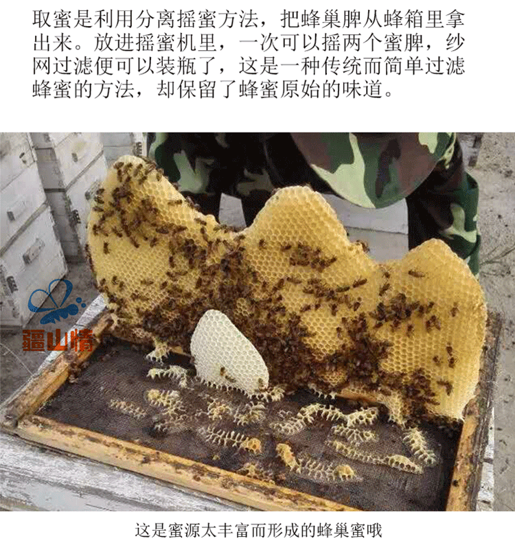 2斤苹果蜜正宗新疆野生百花蜂蜜纯正天然农家结晶成熟土蜂蜜