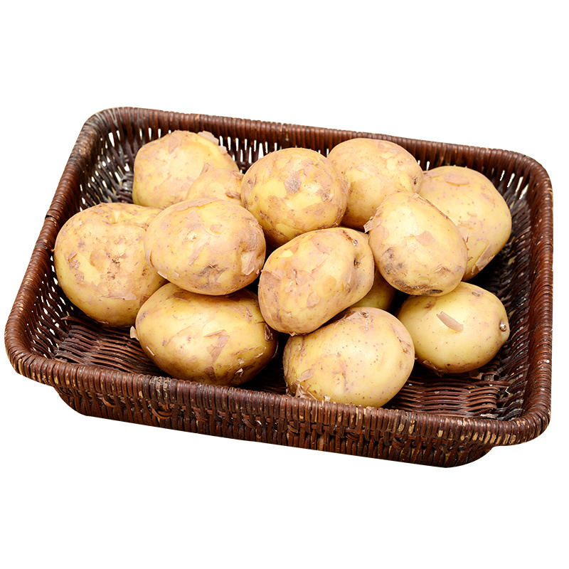 恩施小土豆正宗马尔科小土豆