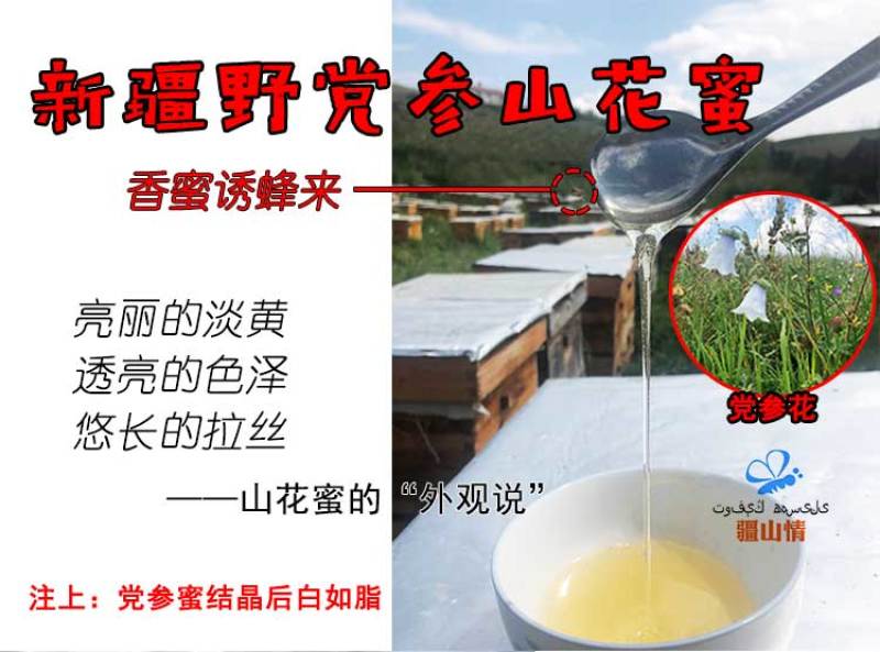 一斤新疆伊犁山花蜜尼勒克野生土蜂蜜纯正天然结晶