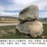 一斤新疆伊犁山花蜜尼勒克野生土蜂蜜纯正天然结晶