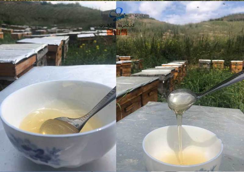 一斤新疆伊犁山花蜜尼勒克野生土蜂蜜纯正天然结晶