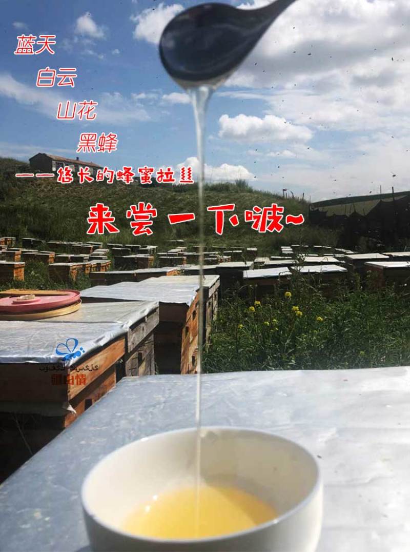 一斤新疆伊犁山花蜜尼勒克野生土蜂蜜纯正天然结晶