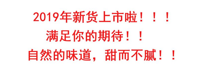 新货新疆吊干杏四团树上吊死干杏干特级无添加农家天然阿克苏