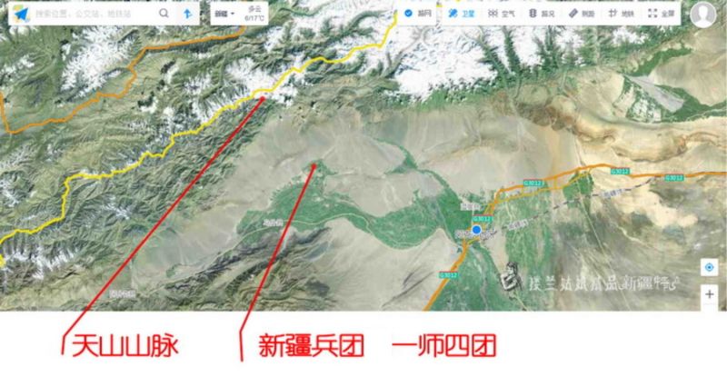 新货新疆吊干杏四团树上吊死干杏干特级无添加农家天然阿克苏