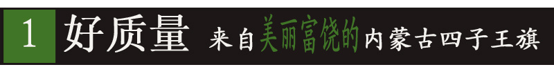 2019新货内蒙古特产四子王旗向日葵原味生熟大瓜子葵花籽