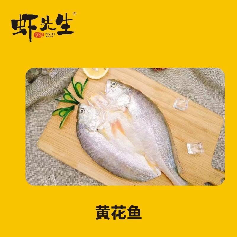 【虾先生】黄花鱼