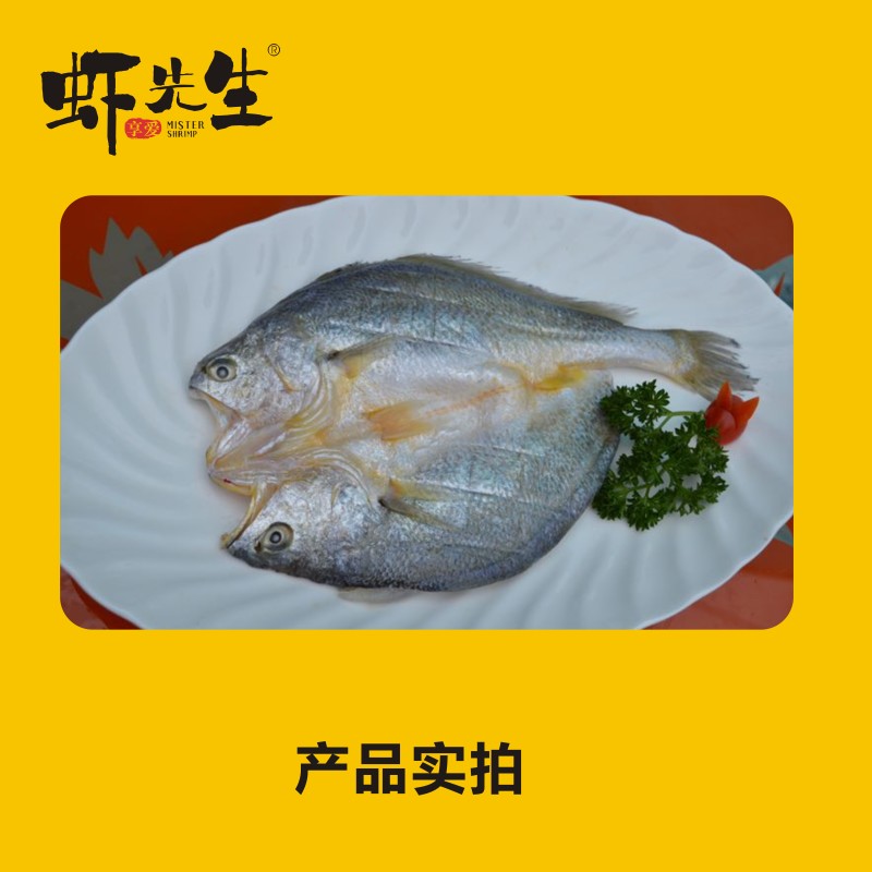 【虾先生】黄花鱼