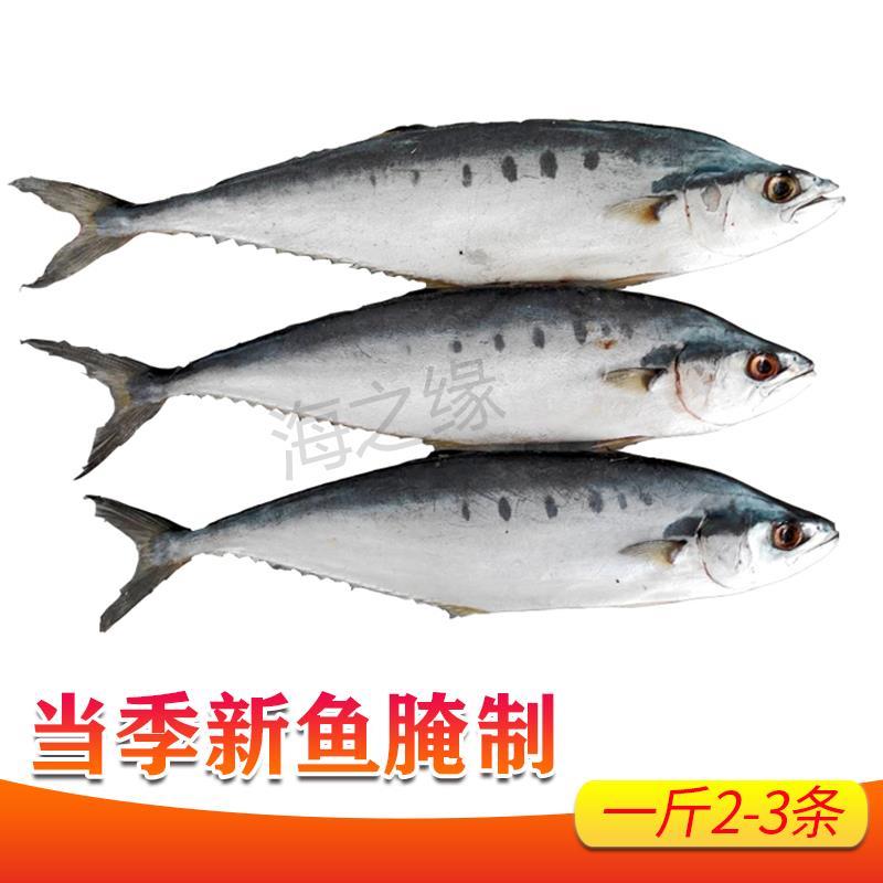 海捕马鲛鱼干咸鲅鱼干六成干水产干货