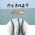 海捕马鲛鱼干咸鲅鱼干六成干水产干货