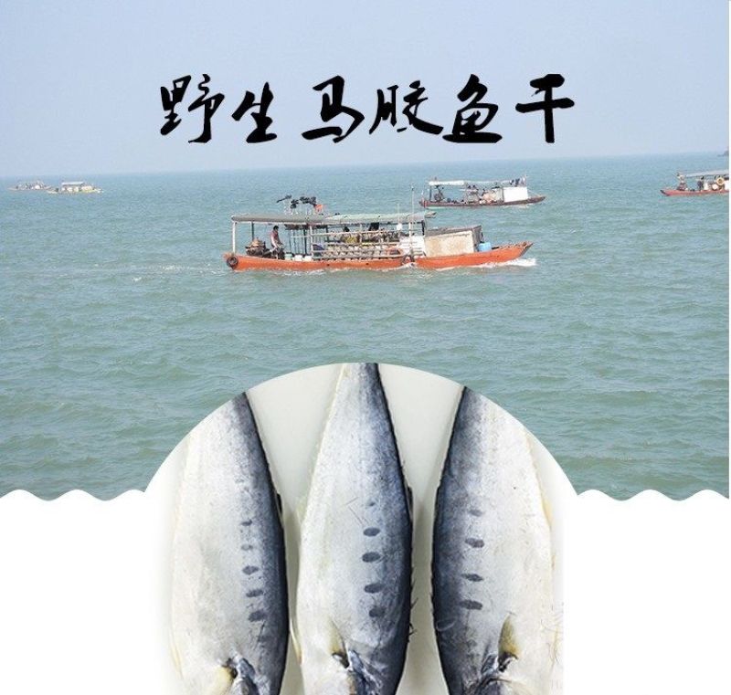 海捕马鲛鱼干咸鲅鱼干六成干水产干货