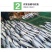 海捕马鲛鱼干咸鲅鱼干六成干水产干货