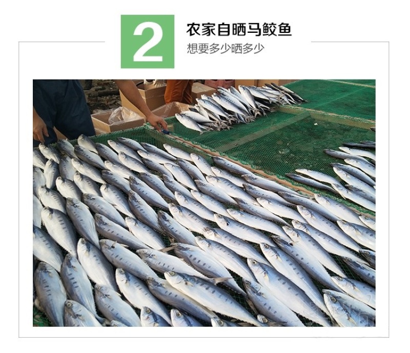 海捕马鲛鱼干咸鲅鱼干六成干水产干货