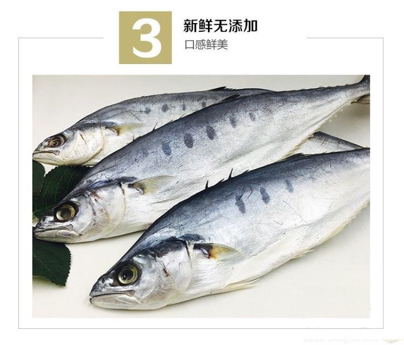 海捕马鲛鱼干咸鲅鱼干六成干水产干货