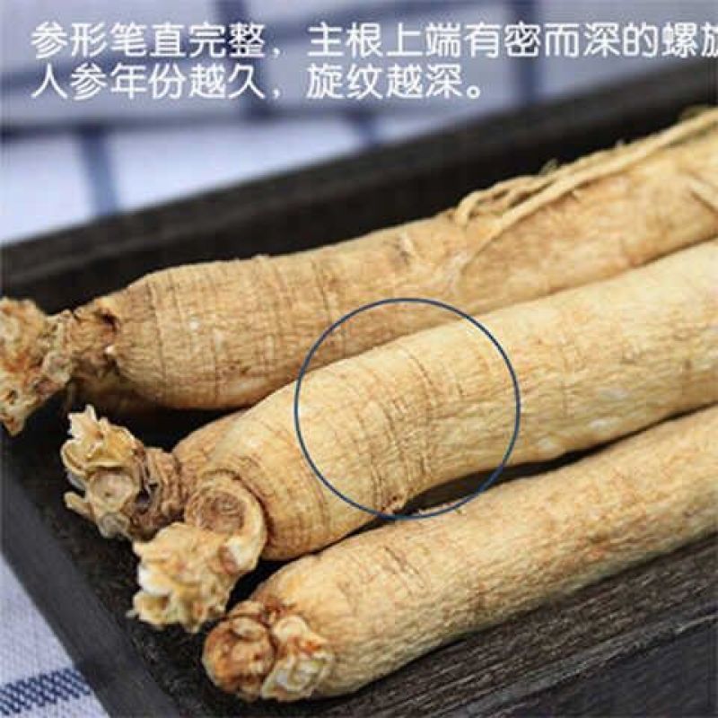 【药厂货批发】原皮生晒人参干人参4～5年保含量无硫磺包邮