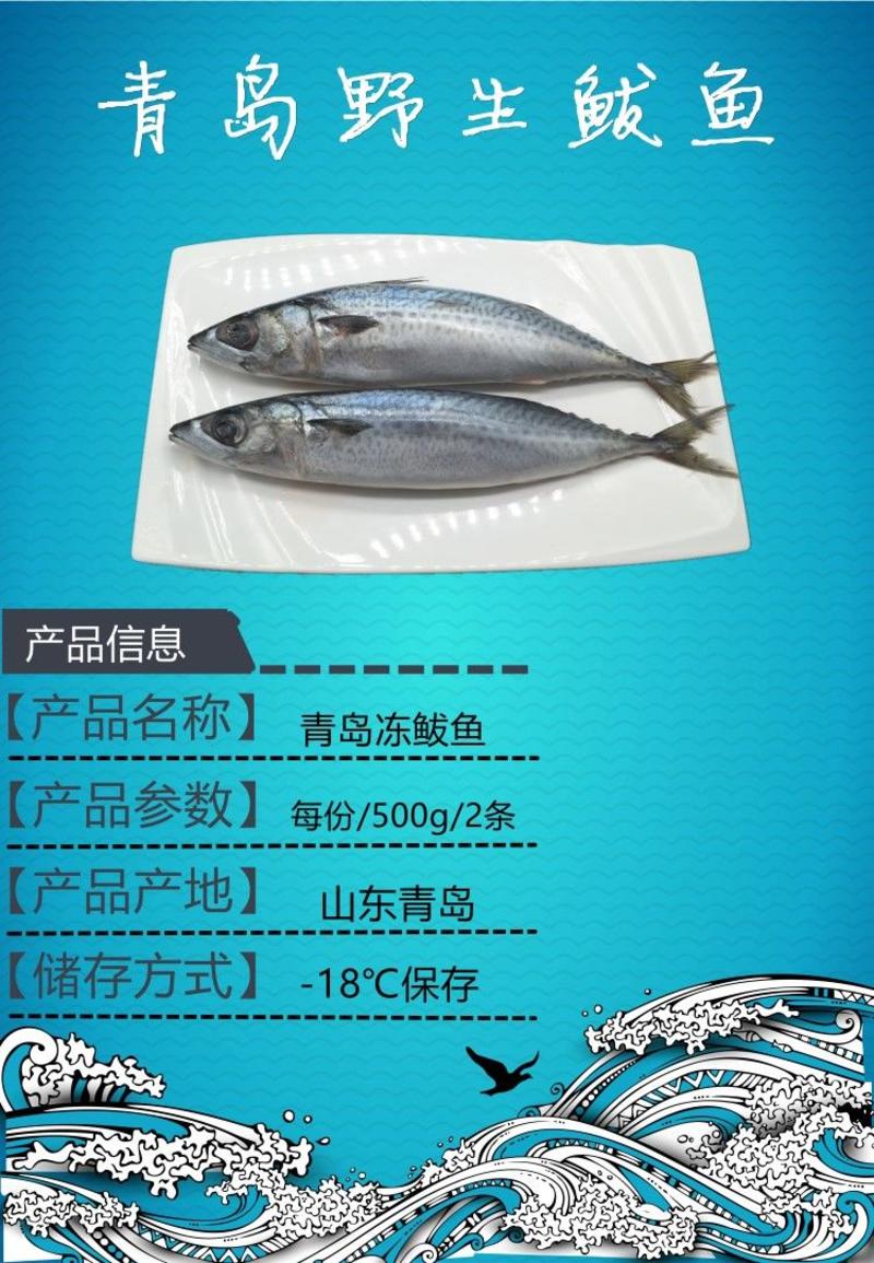 包邮海捕大鲅鱼青占鱼马鲛鱼新鲜冷冻冰鲜发货