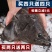 包邮深海进口新鲜比目鱼格林兰碟鱼头鸦片鱼头浙江省/舟