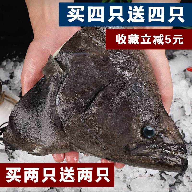 包邮深海进口新鲜比目鱼格林兰碟鱼头鸦片鱼头浙江省/舟