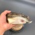 包邮深海进口新鲜比目鱼格林兰碟鱼头鸦片鱼头浙江省/舟