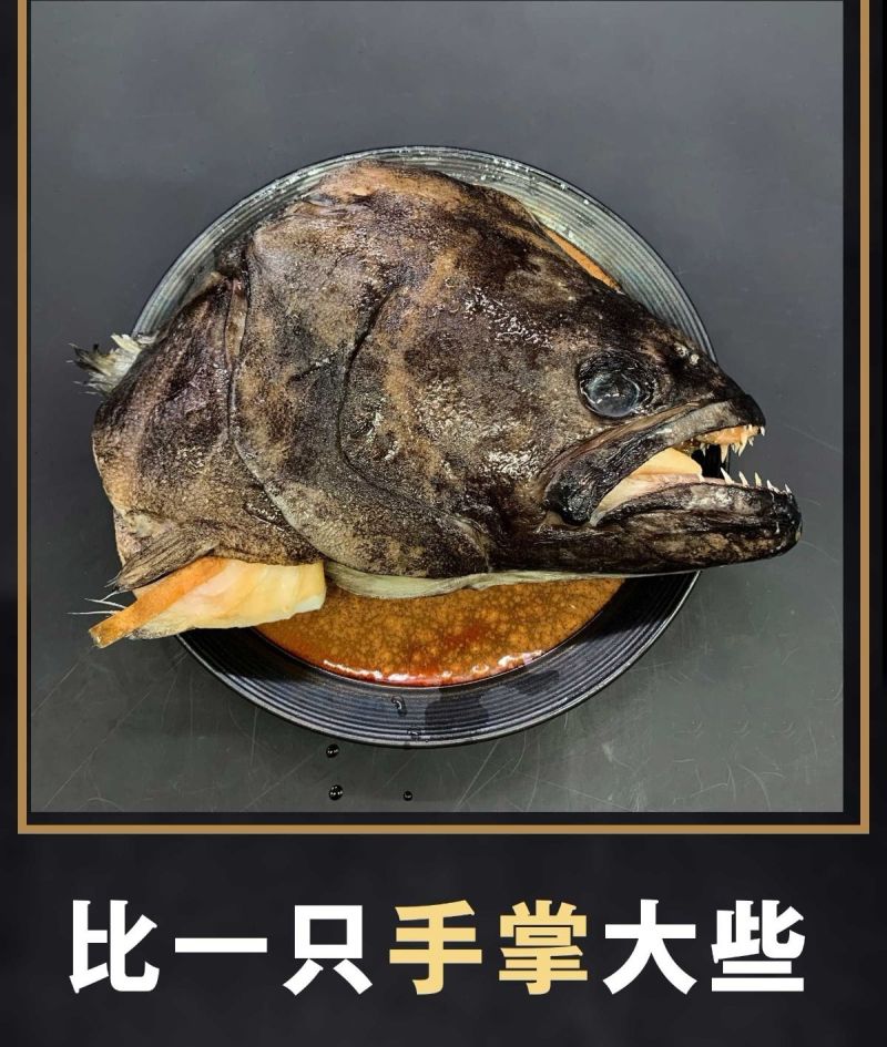 包邮深海进口新鲜比目鱼格林兰碟鱼头鸦片鱼头浙江省/舟