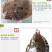 包邮新鲜银屏鱼多宝鱼比目鱼八宝鱼