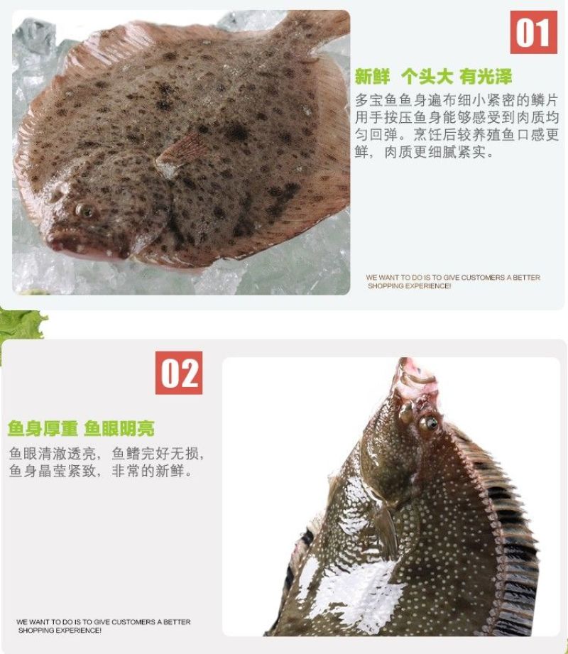 包邮新鲜银屏鱼多宝鱼比目鱼八宝鱼