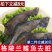 包邮深海鲽鱼整条比目鱼带头去脏鸦片鱼船冻发货