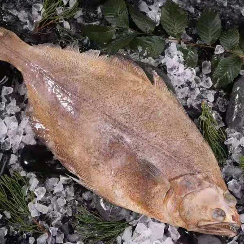 包邮深海鲽鱼整条比目鱼带头去脏鸦片鱼船冻发货