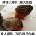 包邮鲜活毛蚶毛蛤血蛤送开壳器