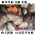 包邮鲜活毛蚶毛蛤血蛤送开壳器