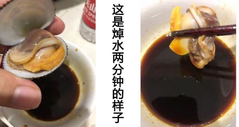 包邮鲜活毛蚶毛蛤血蛤送开壳器