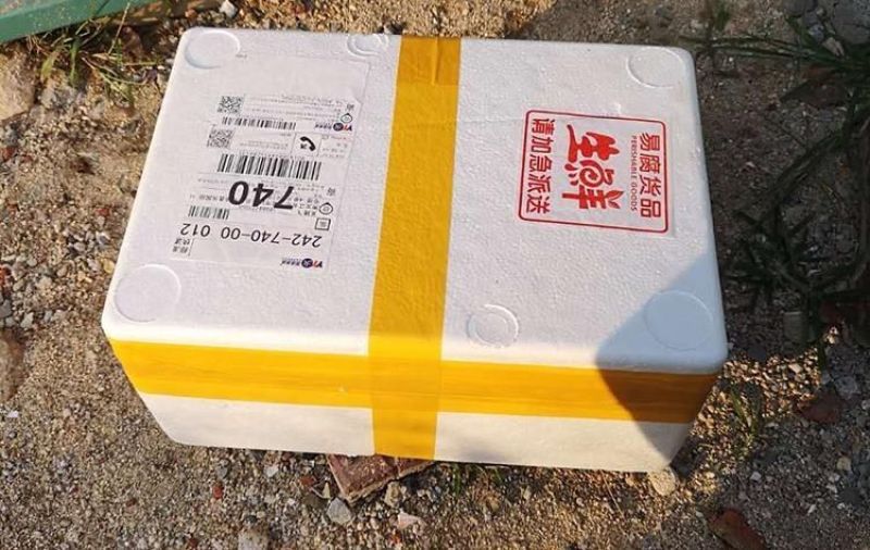 包邮鲜活毛蚶毛蛤血蛤送开壳器