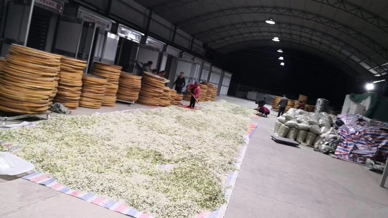 脱水干槐花果真了得坚持用心坚持原生产地直销